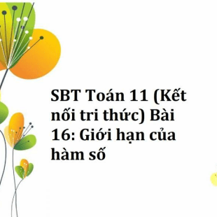 SBT Toán 11 (Kết nối tri thức) Bài 16: Giới hạn của hàm số