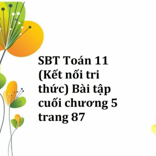 SBT Toán 11 (Kết nối tri thức) Bài tập cuối chương 5 trang 87