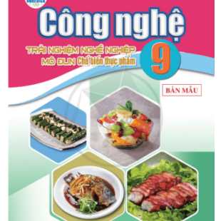 Sách giáo khoa Công nghệ 9 Chế biến thực phẩm Cánh Diều pdf
