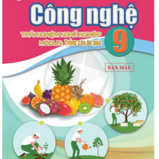Sách giáo khoa Công nghệ 9 Trồng cây ăn quả Cánh Diều pdf