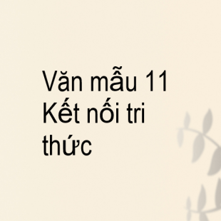 20 mẫu Bàn về cách ứng xử trước sự được mất, khen chê, may rủi,... thể hiện trong Bài ca ngất ngưởng