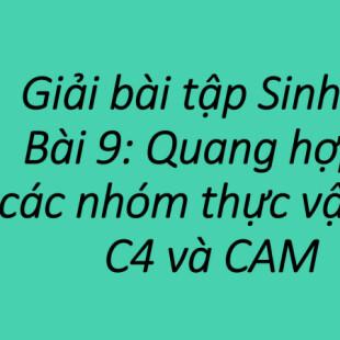 Bài 9: Quang hợp ở các nhóm thực vật C3 C4 và CAM | Giải Sinh học 11